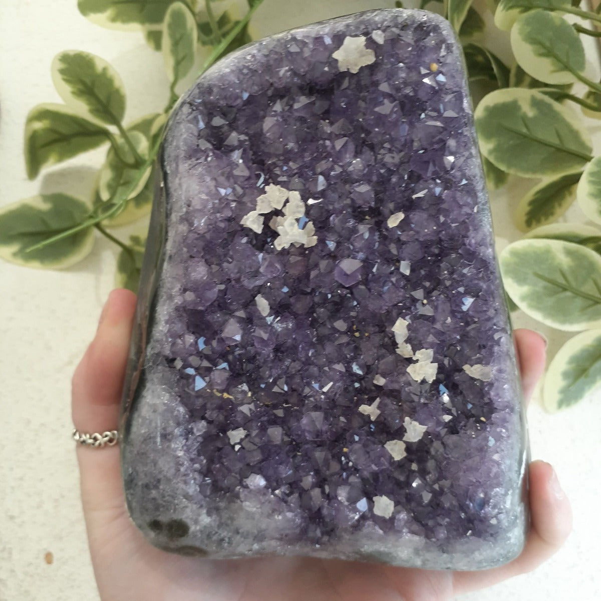 Amethyst - Cut Base Cluster - 58 Amethyst - Cut Base Cluster - 58
